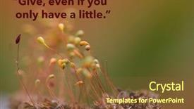  Presentation with quote - Amazing PPT theme having also available in my portfolio backdrop and a tawny brown colored foreground