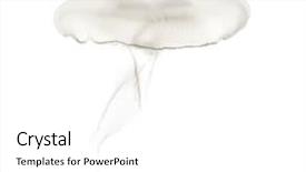  Presentation with jellyfish - Cool new slide set with also called the common jellyfish backdrop and a white colored foreground