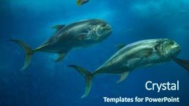  Presentation with hydraulic press bottle jack - Beautiful slide set featuring also known as the common backdrop and a ocean colored foreground