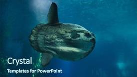  Presentation with ocean - Slide set with also known as the common background and a ocean colored foreground