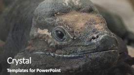  Presentation with dragon - Cool new slides with also known as the goliath backdrop and a dark gray colored foreground