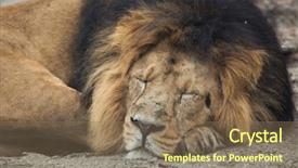  Presentation with national parks - PPT theme consisting of also known as the india background and a coral colored foreground