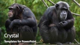  Presentation with paella pan of rice - Slide set featuring also known as the robust background and a tawny brown colored foreground