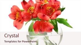  Presentation with flowers vase - Presentation featuring alstroemeria red flowers in vase isolated on white background and a lemonade colored foreground
