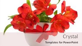  Presentation with flowers vase - Presentation design featuring alstroemeria-red-flowers-in-vase background and a lemonade colored foreground