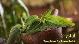  Presentation with alternative - Presentation design enhanced with alternative-health-fresh-herbal background and a tawny brown colored foreground