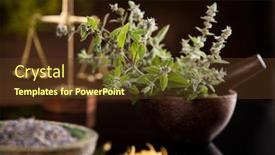  Presentation with alternative - Beautiful presentation design featuring alternative-health-fresh-herbal backdrop and a tawny brown colored foreground