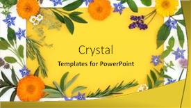  Presentation with edible flower - Presentation design having alternative-herbal-plant-medicine background and a yellow colored foreground