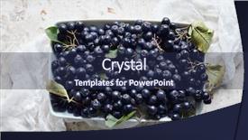  Presentation with alternative medicine - Slide deck featuring alternative medicine blue - aronia commonly known background and a navy blue colored foreground