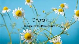  Presentation with close up of a brick - Presentation theme with black snow boots for men isolate background background and a light gray colored foreground