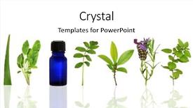  Presentation with aromatherapy oil - Cool new PPT theme with alternative medicine blue - herb leaf and flower selection backdrop and a white colored foreground