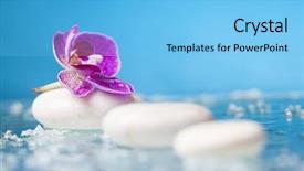  Presentation with zen stone - Presentation theme enhanced with alternative medicine blue - spa still life with pink background and a light blue colored foreground