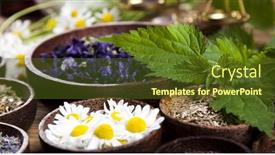 Presentation with alternative medicine - Audience pleasing PPT theme consisting of alternative-medicine-dried-herbs backdrop and a tawny brown colored foreground