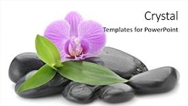  Presentation with spirituality zen meditation stone - Audience pleasing presentation theme consisting of stability medicine - orchid and bamboo backdrop and a white colored foreground