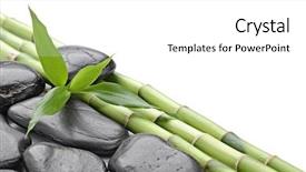  Presentation with zen stones - Cool new PPT layouts with zen basalt stones and bamboo isolated on white backdrop and a white colored foreground