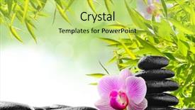  Presentation with spa concept - Amazing PPT layouts having alternative therapy - spa concept with zen stones backdrop and a yellow colored foreground