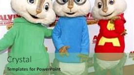  Presentation with chip - 