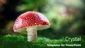  Presentation with mushroom - Cool new presentation with amanita-muscaria-mushroom-or-toadstool backdrop and a forest green colored foreground