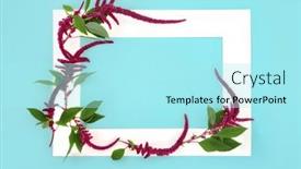  Presentation with abstract health - Presentation with amaranthus-plant-and-flower-seeds background and a arctic colored foreground