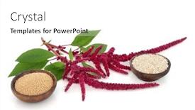  Presentation with white healthy food - Theme having amaranthus-plant-dried-seed background and a white colored foreground