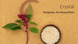  Presentation with food minerals - Slide deck with amaranthus-plant-with-puffed-amaranth background and a yellow colored foreground