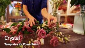  Presentation with roses flowery - Theme featuring amaryllis - female florist separating roses background and a  colored foreground
