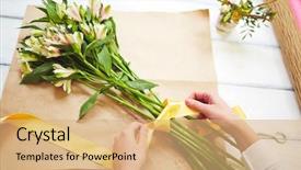  Presentation with female infertility - Presentation with amaryllis - female florist tying up fresh background and a  colored foreground