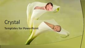  Presentation with newborn babies - PPT theme featuring amaryllis - innocent newborn babies sleeping inside background and a yellow colored foreground