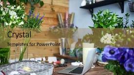  Presentation with workplace - Presentation design having amaryllis - interior of flower shop background and a  colored foreground