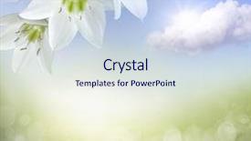  Presentation with sun bathers - Presentation design consisting of amaryllis flower and sun bokeh background and a sky blue colored foreground