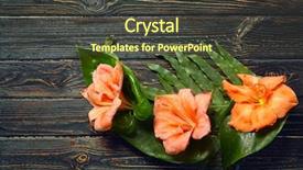  Presentation with tropical flowers - Slide set consisting of amaryllis plant - composition of beautiful tropical leaves background and a tawny brown colored foreground