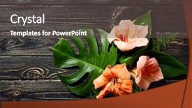  Presentation with tropical flowers - Beautiful PPT theme featuring amaryllis plant - composition of beautiful tropical leaves backdrop and a dark gray colored foreground