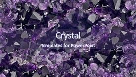  Presentation with insect macro of mosquito aedes - Amazing presentation theme having amat - macro photo of lilac amethyst backdrop and a violet colored foreground