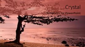  Presentation with sunset at venice beach palm - Presentation theme with amazing beach in sao tome background and a red colored foreground