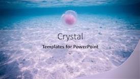  Presentation with banner blue - Cool new slide deck with amazing-blue-underwater-world-banner backdrop and a light blue colored foreground