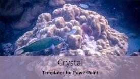  Presentation with banner blue - PPT layouts having amazing-blue-underwater-world-banner background and a light blue colored foreground