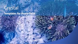  Presentation with banner blue - Beautiful slide deck featuring amazing-blue-underwater-world-banner backdrop and a teal colored foreground