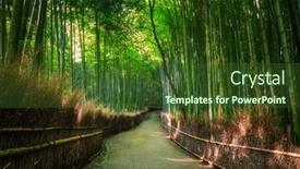  Presentation with bamboo - Slides having amazing-landscape-of-the-arashiyama background and a tawny brown colored foreground