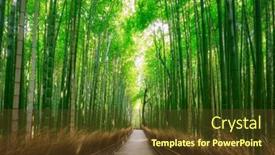  Presentation with bamboo - Presentation enhanced with amazing-landscape-of-the-arashiyama background and a tawny brown colored foreground
