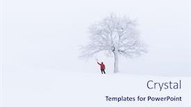  Presentation with winter landscape winter tree - Presentation theme consisting of amazing-landscape-with-a-lonely background and a sky blue colored foreground