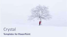  Presentation with winter landscape winter tree - PPT theme having amazing-landscape-with-a-lonely background and a sky blue colored foreground