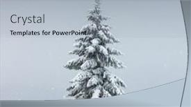  Presentation with winter landscape winter tree - Presentation design with amazing-landscape-with-a-lonely background and a light gray colored foreground