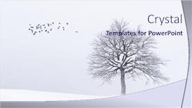  Presentation with winter landscape winter tree - Theme featuring amazing-landscape-with-a-lonely and a sky blue colored foreground
