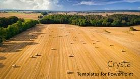  Presentation with hay field - Audience pleasing slide set consisting of amazing-landscape-with-hay-bales backdrop and a gold colored foreground
