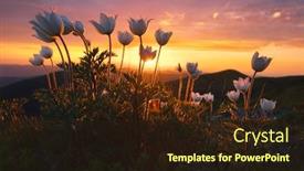  Presentation with light pink - Cool new PPT layouts with amazing-landscape-with-magic-pink backdrop and a wine colored foreground