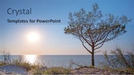  Presentation with growing tree - PPT theme having amazing-lone-tree-growing-out background and a teal colored foreground