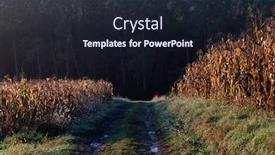  Presentation with corn fields - Slides enhanced with amazing-panorama-of-golden-corn background and a wine colored foreground