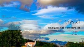  Presentation with camel - Cool new presentation design with amazing-park-of-torres-del backdrop and a light blue colored foreground