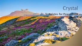  Presentation with bloom - PPT theme featuring amazing-pink-rhododendron-flowers-bloom background and a  colored foreground