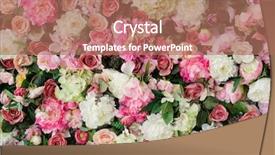  Presentation with white flowers - Slides with amazing red and white rose background and a coral colored foreground